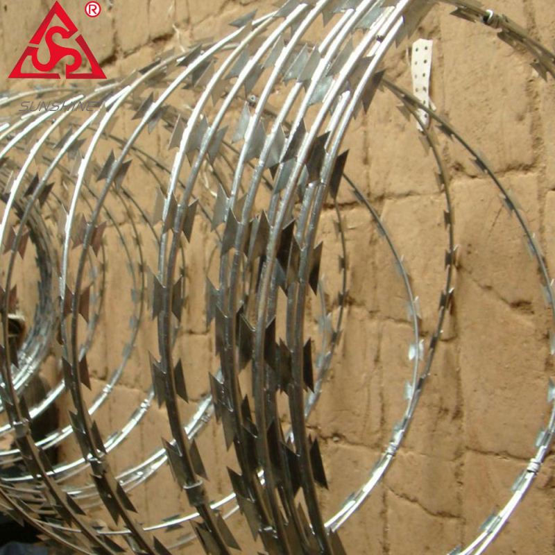 Straight electro galvanized razor barbed wire