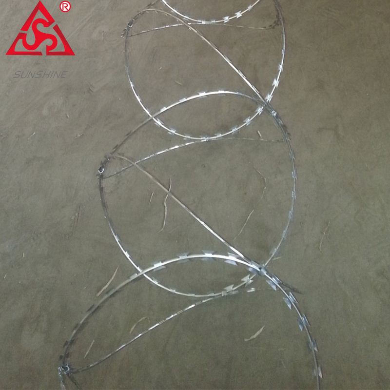 Welded Iron Wire Mesh 50×50 - Concertina razor wire razor barbed wire for fence – Sunshine