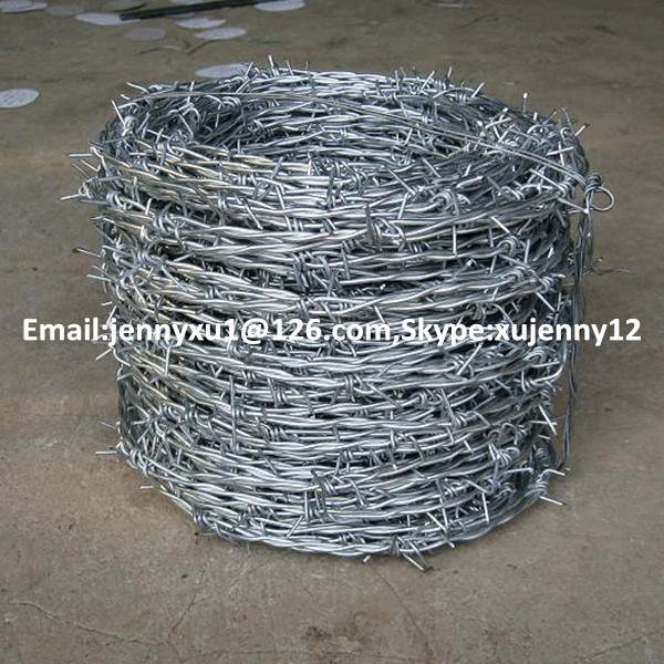 Square Wire Mesh Factory - galvanized barbed wire in IOWA type – Sunshine