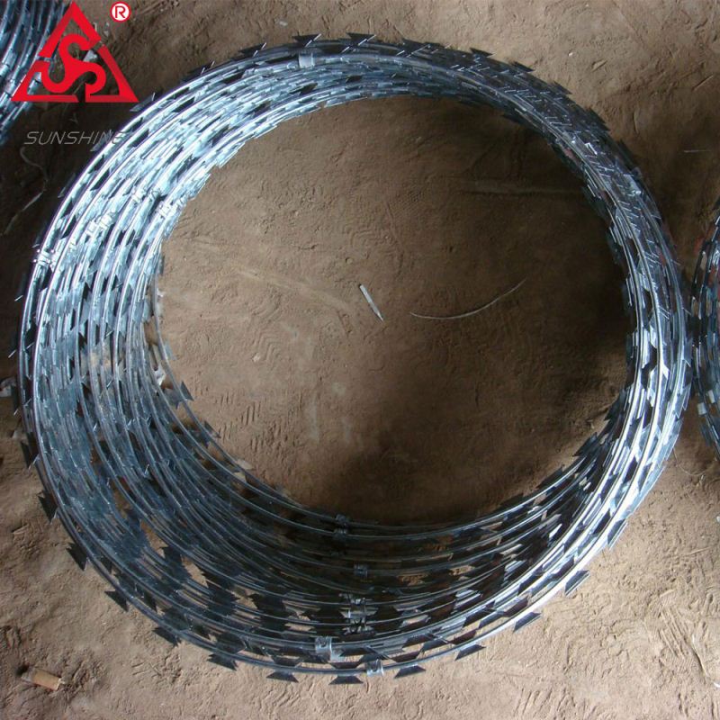 Factory Free sample Galvanized Steel Wire Mesh 3mm - Galvanized crossed razor barbed wire fence – Sunshine