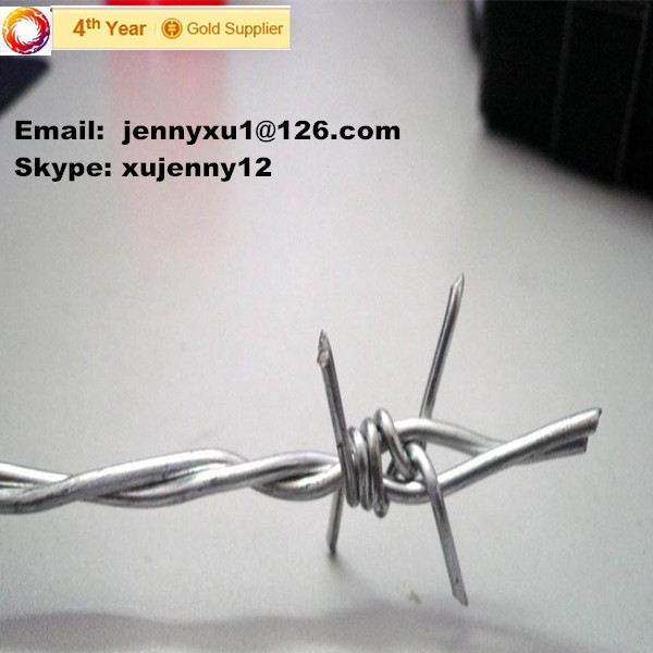 Nails And Screws - galvanized/hot dip galvanized/PVC coated barbed wire (China) – Sunshine