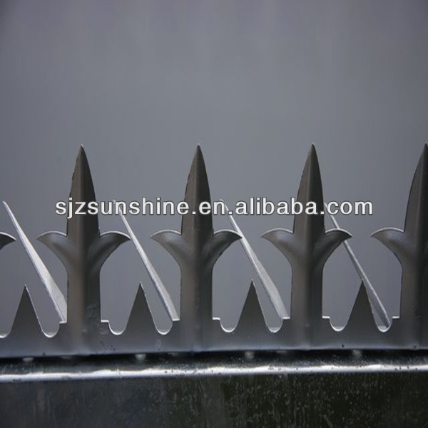 China Common Wire Nails - razor spike – Sunshine