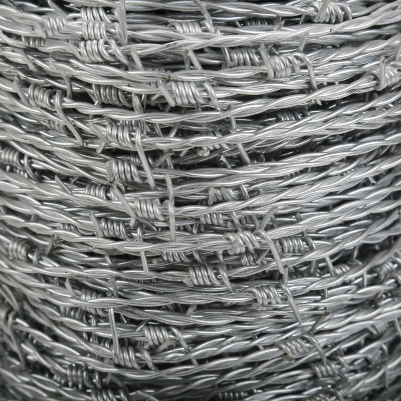 Annealed Iron Wire - galvanized/hot dip galvanized/PVC coated barbed wire (China) – Sunshine