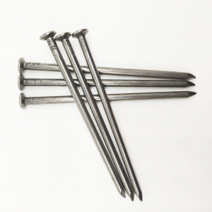 Flat Head polished common round wire galvanized common iron nails