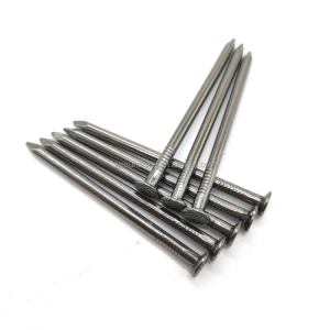 Sunshine high quality common wire nails