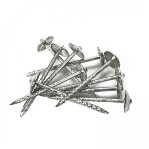 Popular iron assembled roofing nails made in china factory