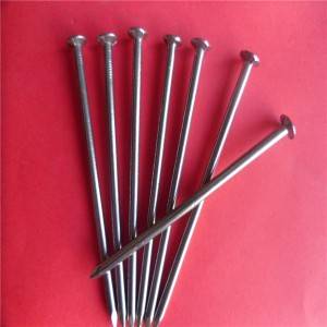 16boxes polished wire nail