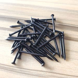 China Black concrete nails