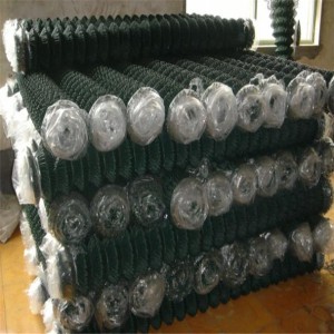 pvc coated wire mesh-A6