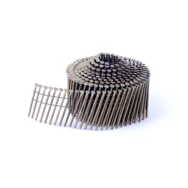Hot Sale for Wire Nail - steel coil nails for funiture factory price – Sunshine