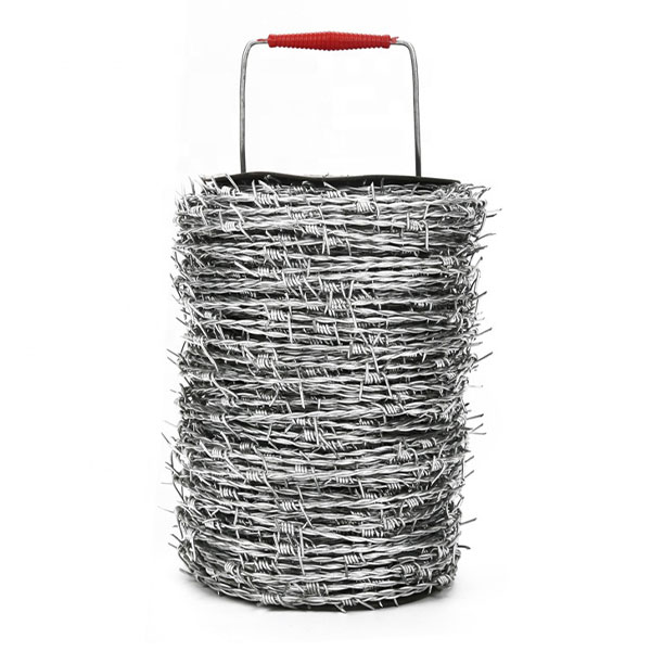 Hot Sale for Soft Annealed Black Iron Wire Binding Wire - Hot-dip galvanized razor barbed wire-A6 – Sunshine