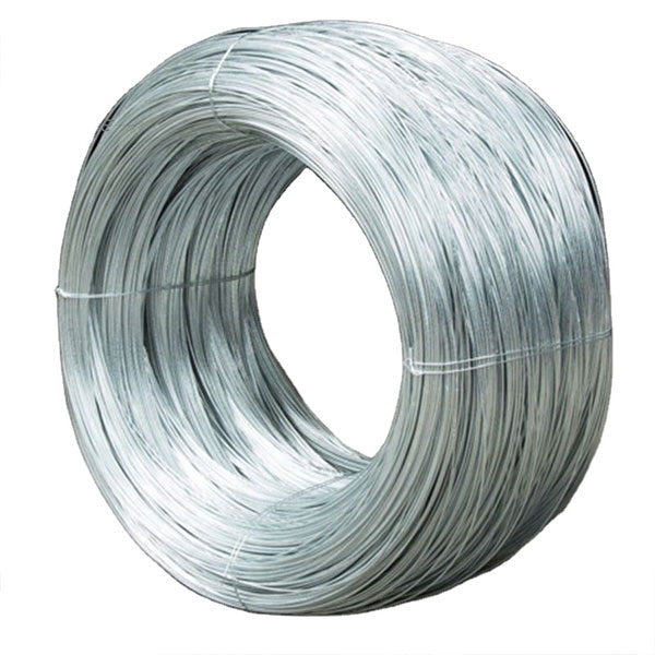 High Quality Iron Wire -  Electro Galvanized wire  – Sunshine