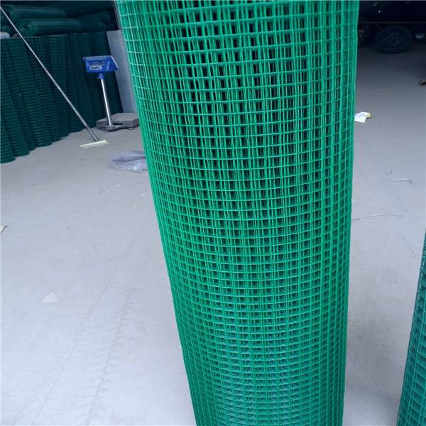 China Green color pvc coated welded wire mesh - Shijiazhuang Sunshine  Imp&Exp Trade Co., Ltd.
