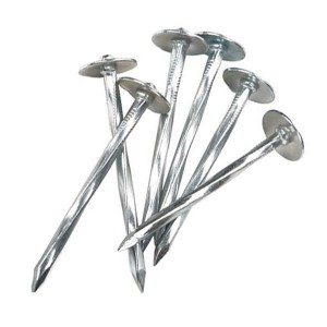 electro galvanized roof nails with washer