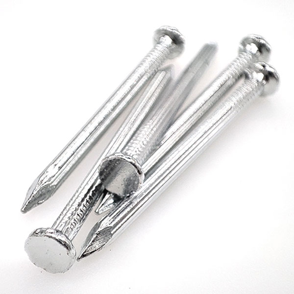 Factory best selling Ring Shank Nail - China electro galvanized Concrete nails-A6 – Sunshine