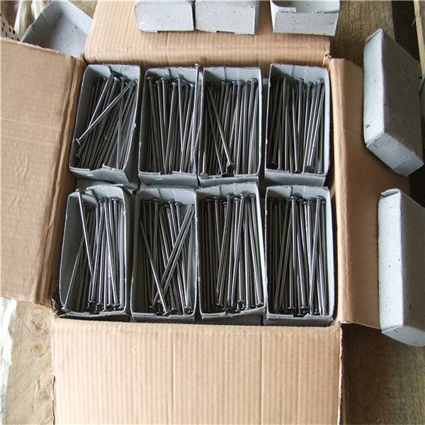 Excellent quality Wire Coil Nails - 16boxes polished wire nail  – Sunshine