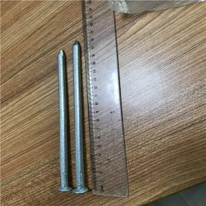 China boat nails facotry good quality  prices