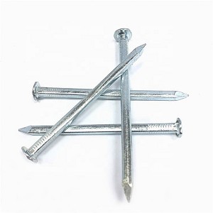 Hot selling hot dipped galvanized square shank nail/ boat nail with low price