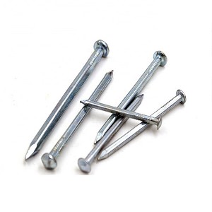 Hot selling hot dipped galvanized square shank nail/ boat nail with low price