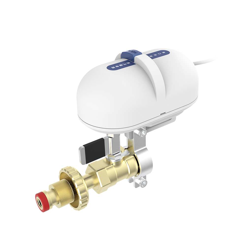 Smart valve controller for gas tank
