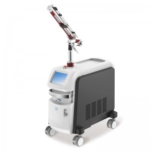 ST-221 Picosecond Nd:YAG Laser System