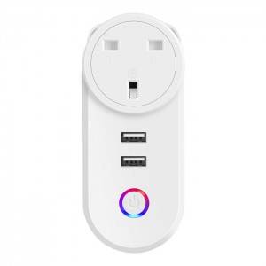 Factory Price Manufacturer Supplier Remote Control Of Mobile App Smart Plug With Wifi With USB Outlet