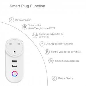 Factory Price Manufacturer Supplier Remote Control Of Mobile App Smart Plug With Wifi With USB Outlet