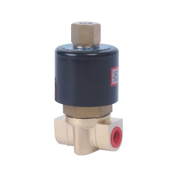 China SNS 2W series control element direct-acting type brass solenoid water  valve Manufacturer and Supplier