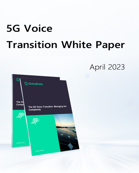Huawei and GlobalData Jointly Released the 5G Voice Target Network Evolution White Paper