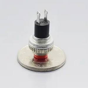 Push button switch DS-314 0.5A 250V inching switch 10 mm Red head