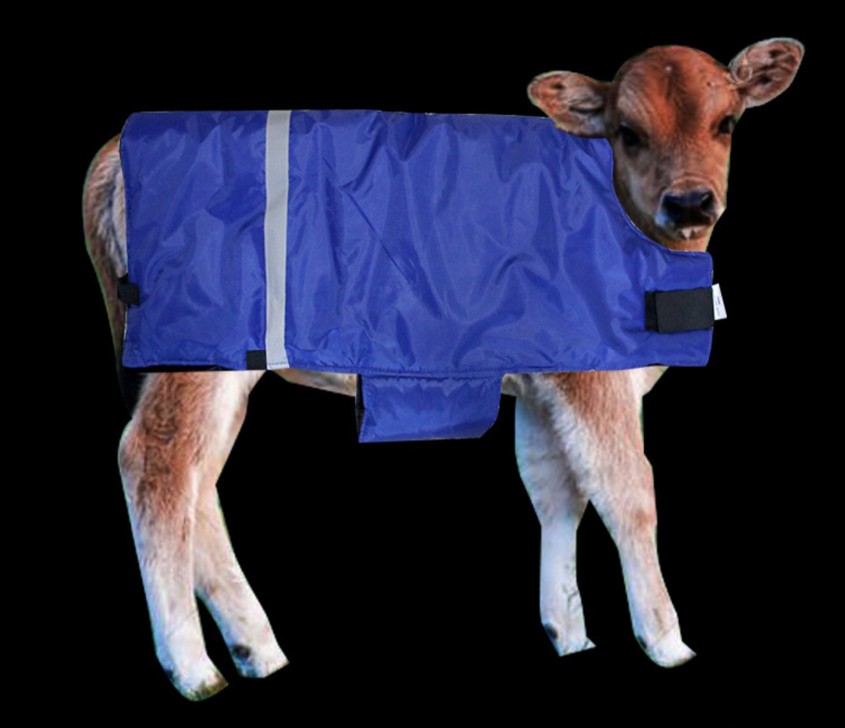 SDAC15 cow cold-proof vest