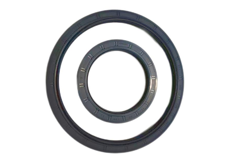 Introduction of Oil seals for slewing bearing