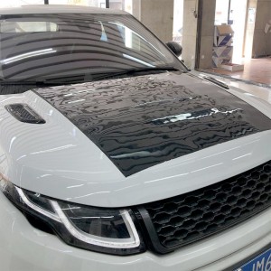 SolarSkin PV module for vehicles with customized service