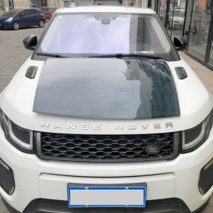 SolarSkin PV module for vehicles with customized service