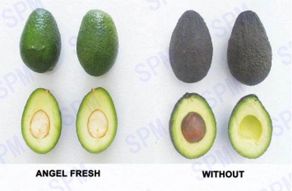 Avocados can keep fresh for longer with our products, even during global shipping capacity limitation