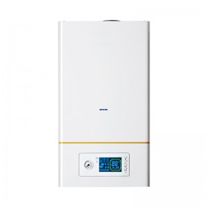 Well-designed Hot Water Tank Installation - Wall hung gas boiler A01 series  – Spring