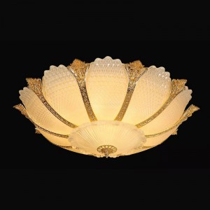 Ceiling light 88020 Featured crystal ceiling light, bedroom ceiling light, hallway ceiling light