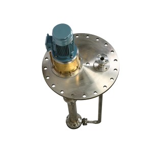 LY(O)- API 610 Standard VS4 Sump Pump