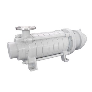 MCN Multistage stage ( BB4 / BB5 )Type Pump