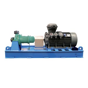 API 685 Standard MCN series Basic Type Pump