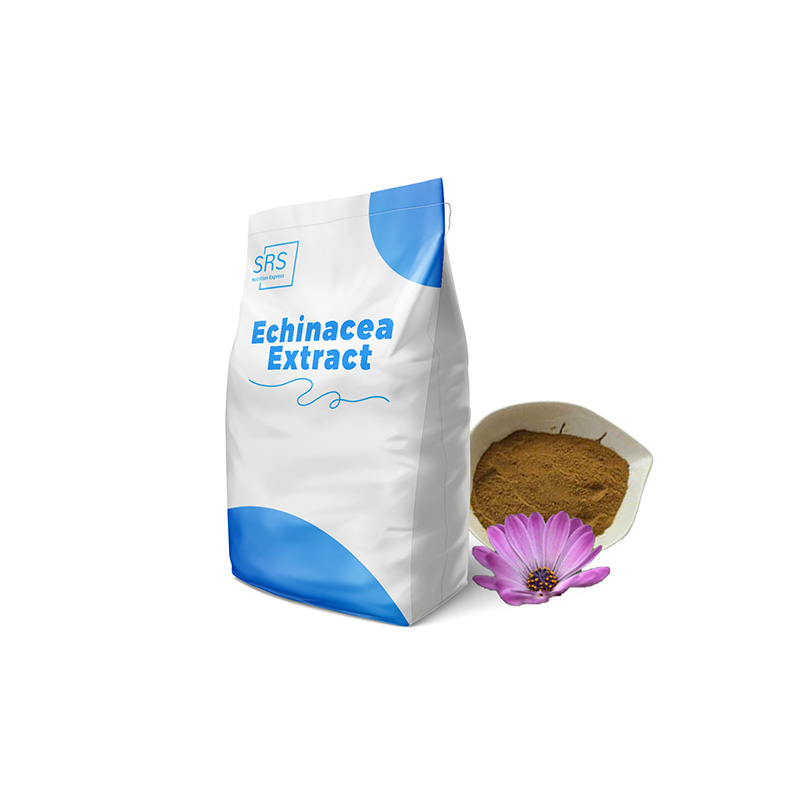 Usine Echinacea purpurea extrait de racine en poudre polyphénols 4%