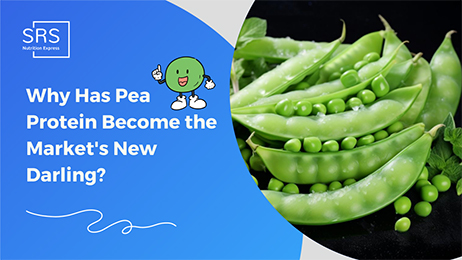 Why Has Pea Protein Become the Market’s New Darling?