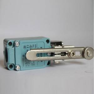 Good Quality Crawler Crane Parts - SZL-WL-B Rocker switch – Shengsida