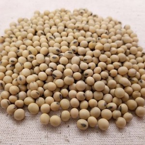 SP-H007-Pure Natural Soybean extract Powder with 40%, 80% Isoflavones for Female Health