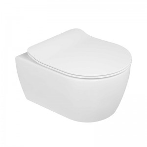 PriceList for P-Trap Toilet - SSWW WALL-HUNG TOILET /CERAMIC TOILET CT2037V – SSWW