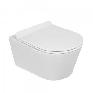 Good Quality Back To Wall Toilets - SSWW WALL-HUNG TOILET /CERAMIC TOILET CT2040 – SSWW
