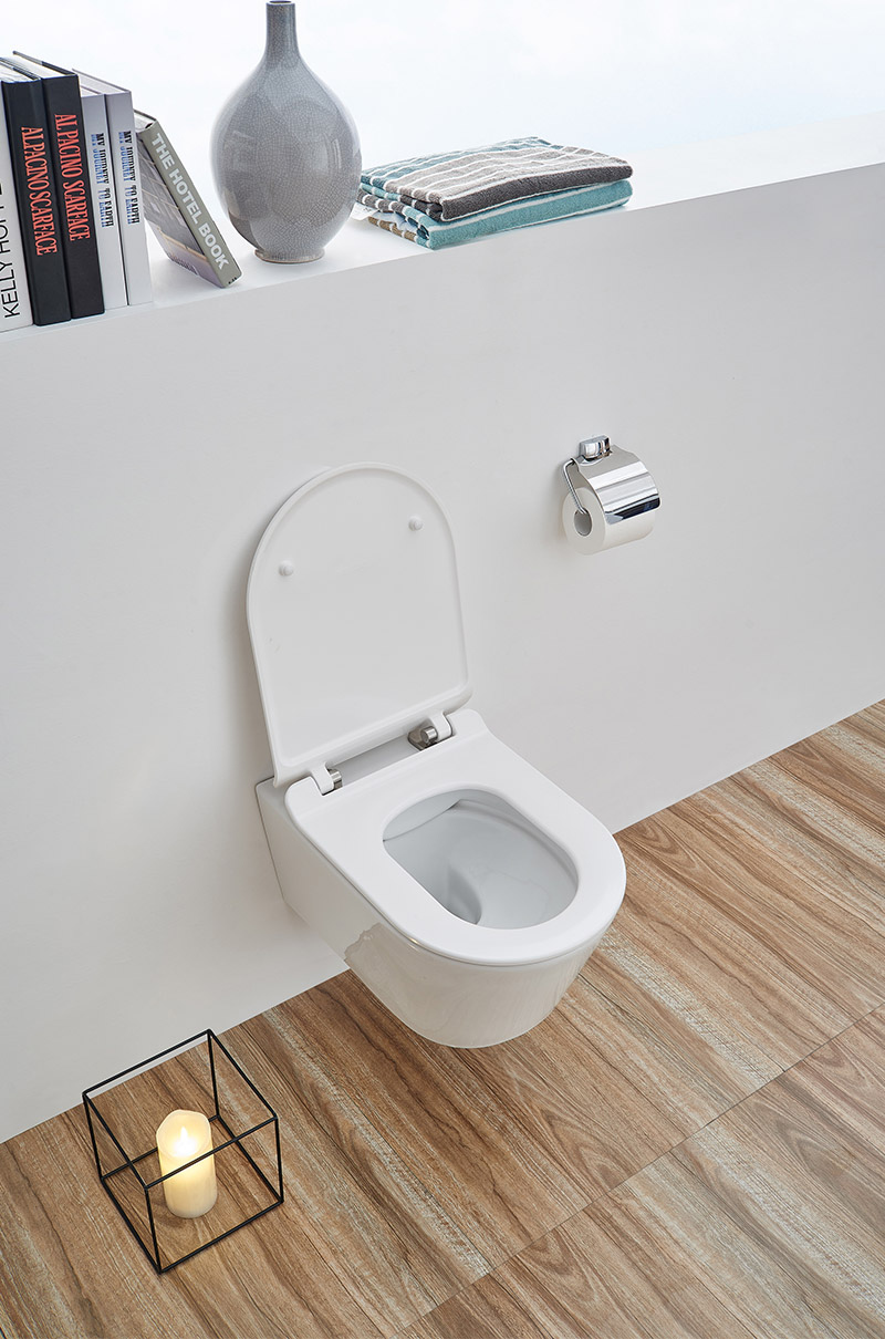 SSWW WALL HUNG TOILET CT2039V