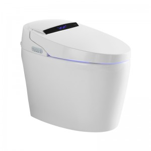 Starlink ເຮັດວຽກໄດ້ຢ່າງເຕັມສ່ວນ Smart Toilet ທີ່ມີຈໍສະແດງຜົນ