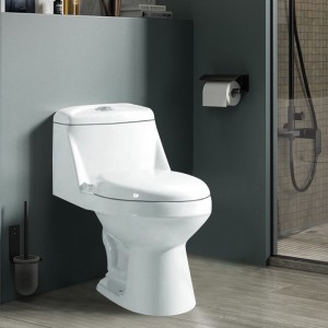 Kommerziell effizient an haltbar Buedem Toilette