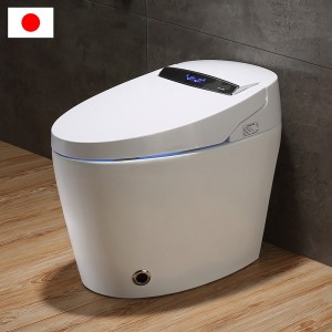 Starlink Fully Functional Smart Toilet with display